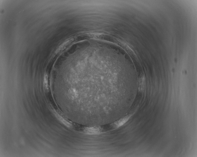 X0000084530238200703091636