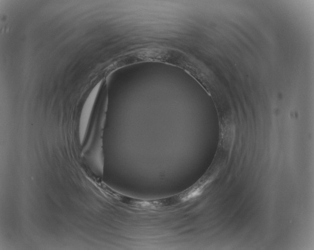 X0000084530239200703091636