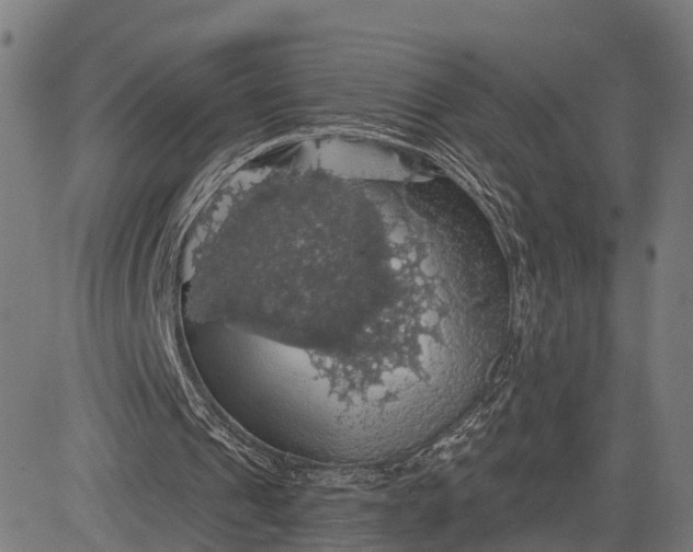 X0000084530241200703091635