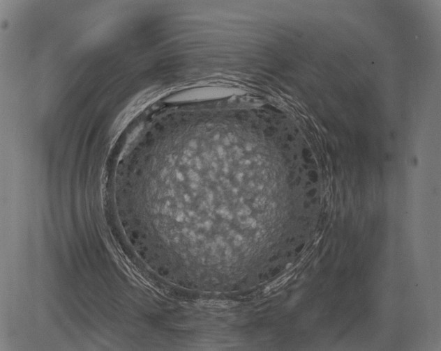 X0000084530242200703091635