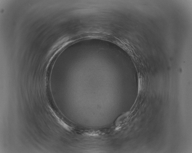 X0000084530243200703091635