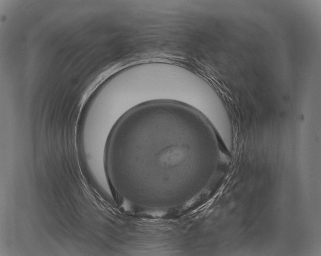 X0000084530244200703091635