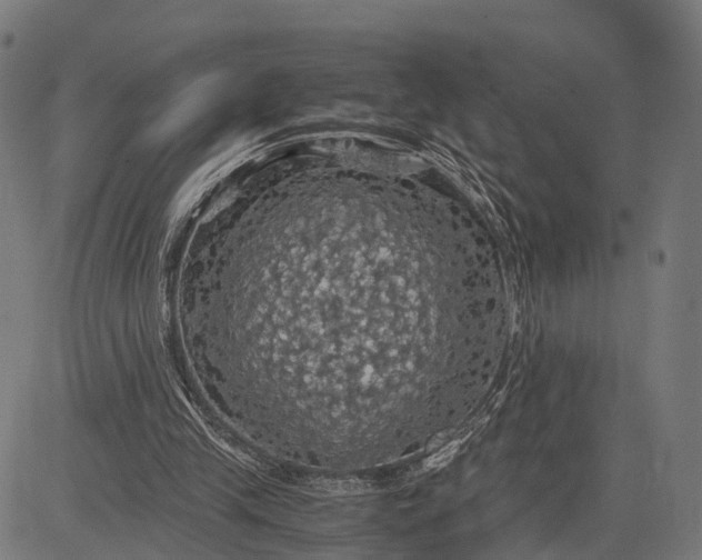 X0000084530245200703091635