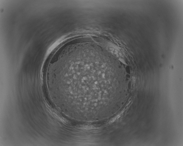 X0000084530246200703091635