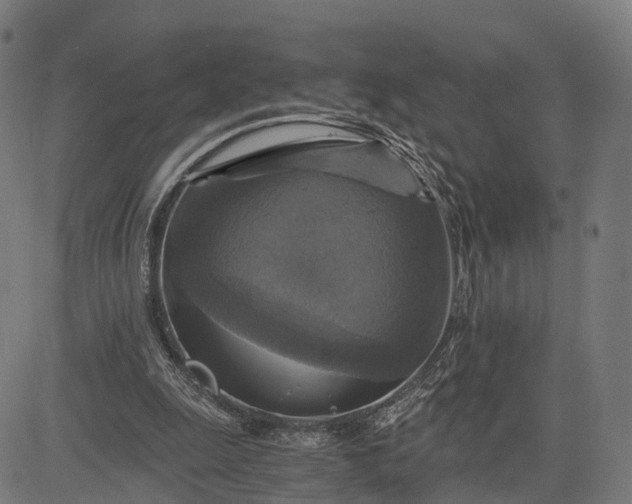 X0000084530247200703091635