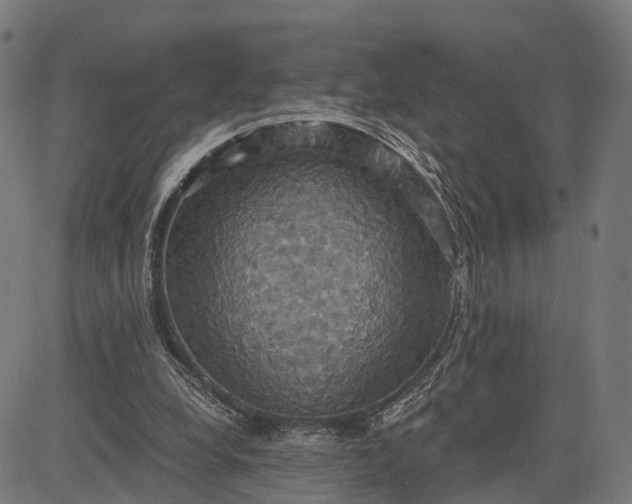 X0000084530248200703091635