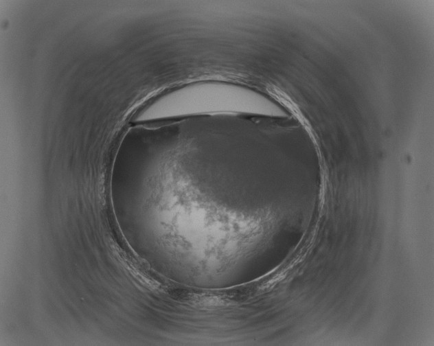 X0000084530249200703091635