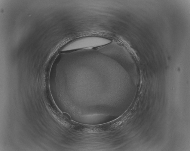 X0000084530250200703091635