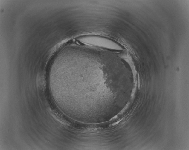 X0000084530252200703091635