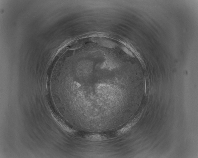 X0000084530253200703091635