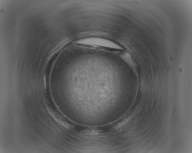 X0000084530254200703091635