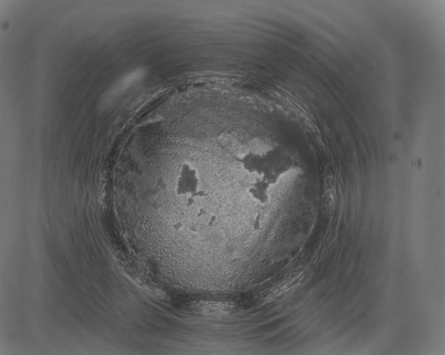 X0000084530255200703091635