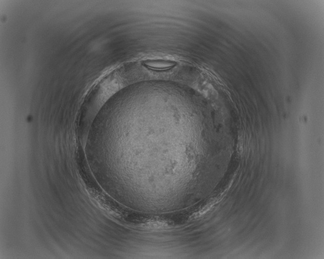 X0000084530256200703091635