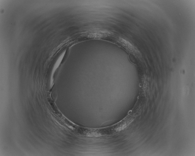 X0000084530258200703091635