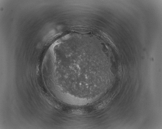 X0000084530259200703091635