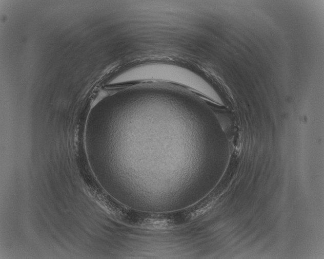 X0000084530260200703091635