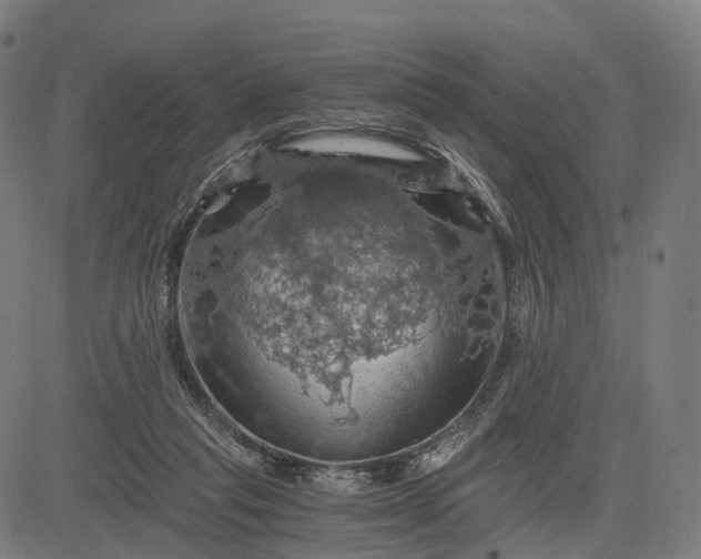 X0000084530261200703091635