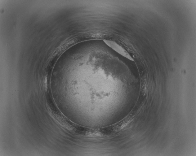 X0000084530262200703091635