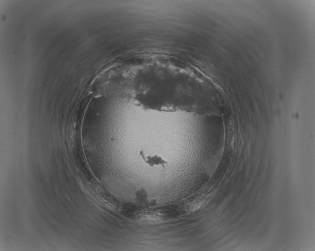 X0000084530263200703091635