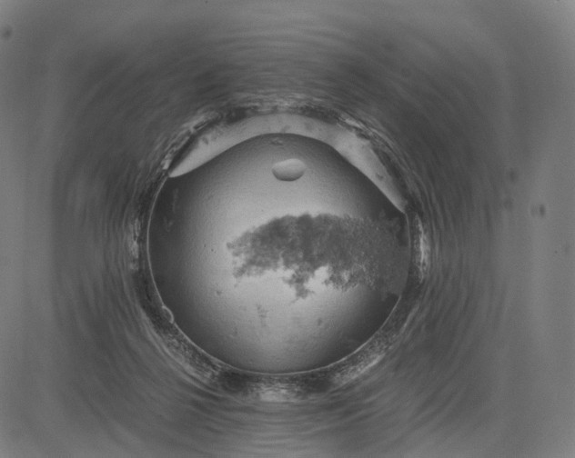 X0000084530264200703091635