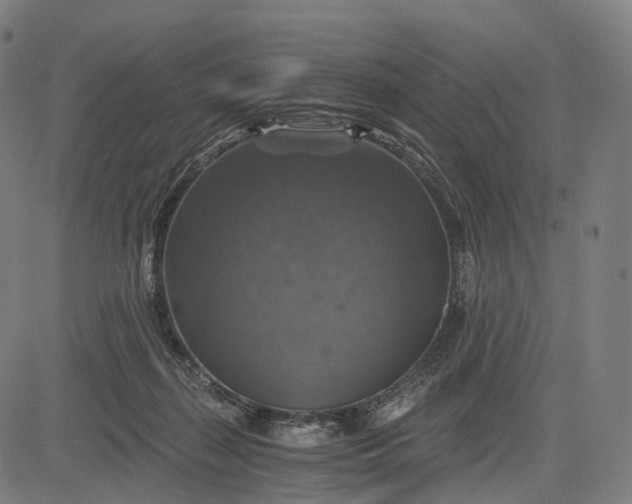 X0000084530267200703091635