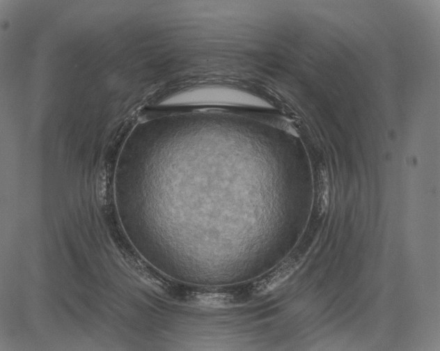 X0000084530268200703091635