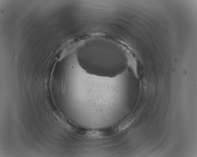 X0000084530269200703091636