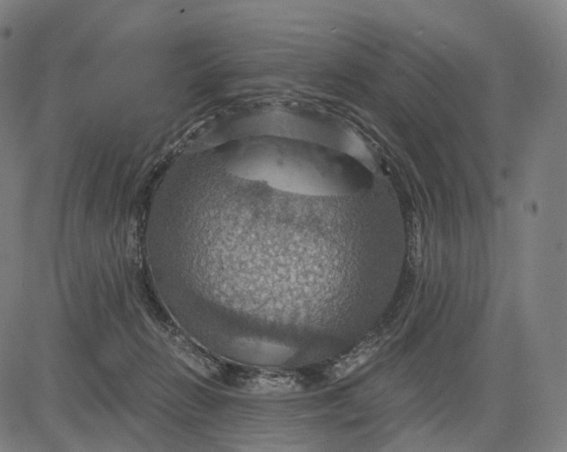 X0000084530270200703091636