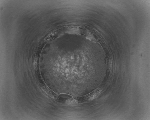 X0000084530271200703091636