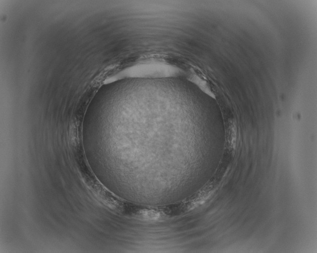 X0000084530272200703091636