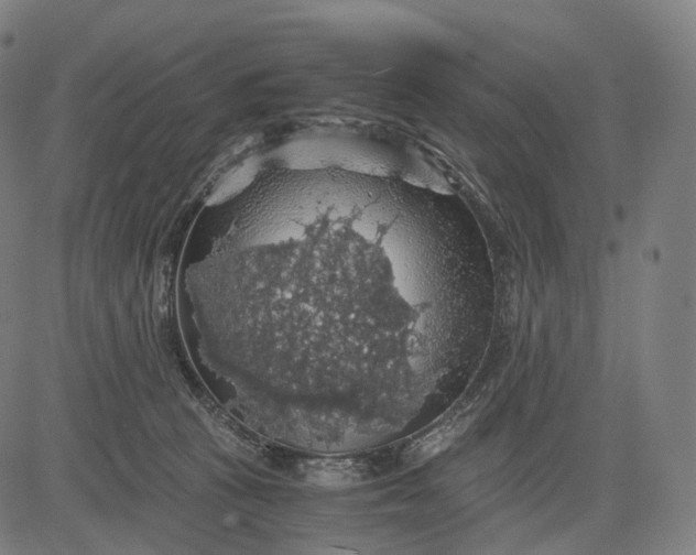 X0000084530273200703091636