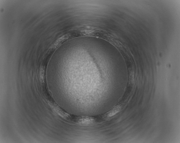 X0000084530274200703091636