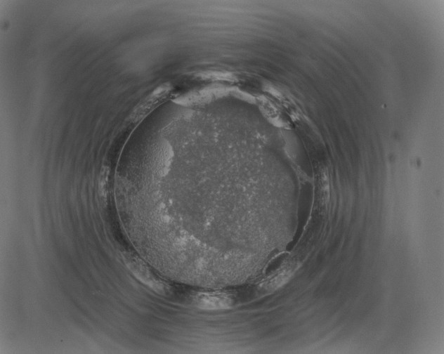 X0000084530275200703091636