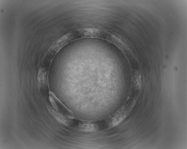 X0000084530276200703091636