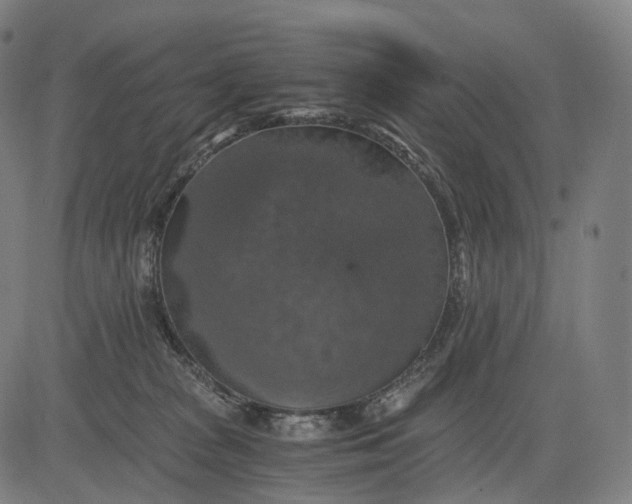 X0000084530277200703091636