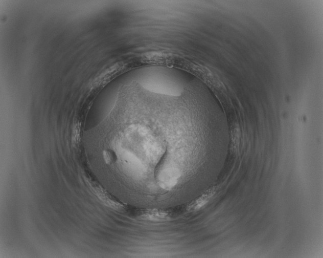 X0000084530278200703091636