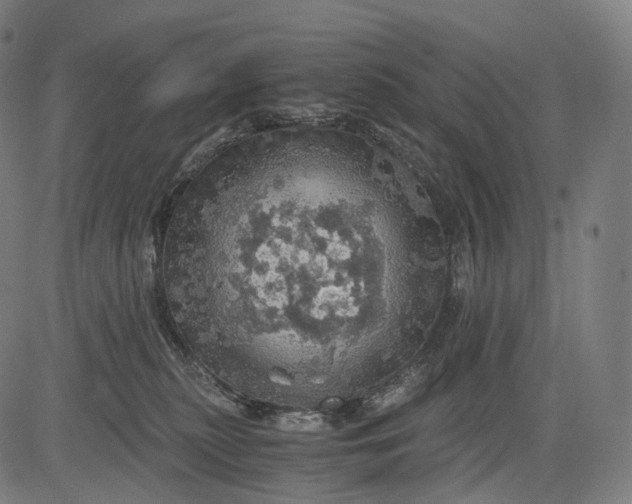 X0000084530279200703091636