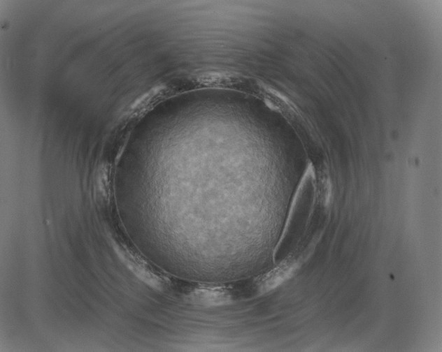 X0000084530280200703091636