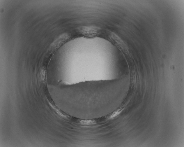 X0000084530281200703091636