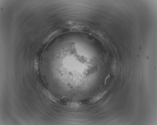 X0000084530282200703091636