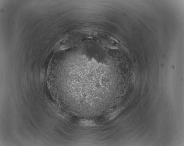 X0000084530283200703091636