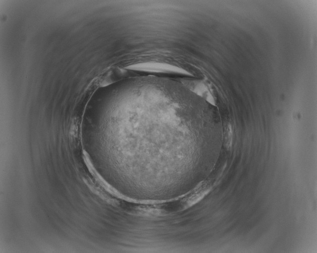 X0000084530284200703091636