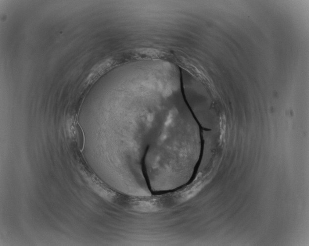 X0000084530285200703091636