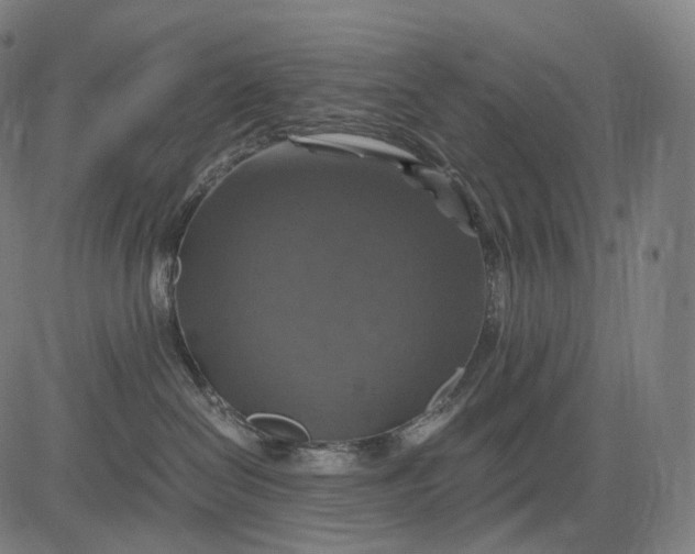 X0000084530286200703091636