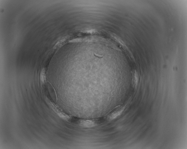 X0000084530287200703091636