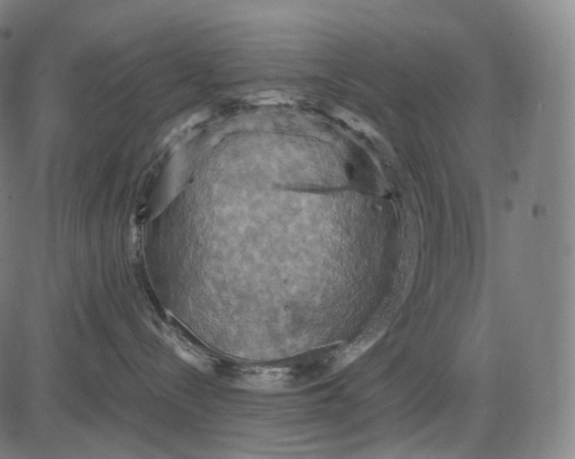 X0000084530288200703091636