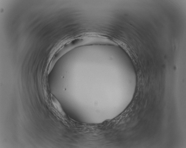 X0000084530289200703091635