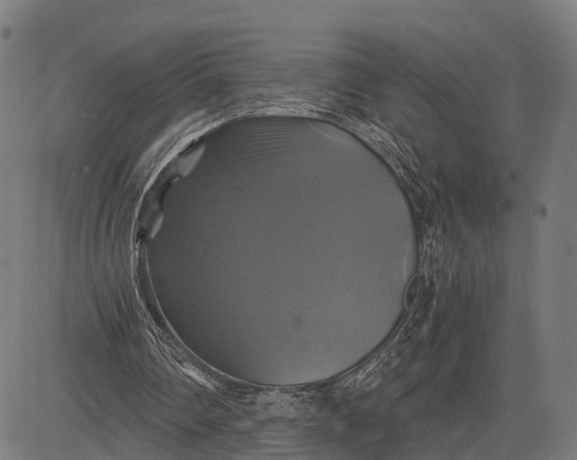 X0000084530290200703091635