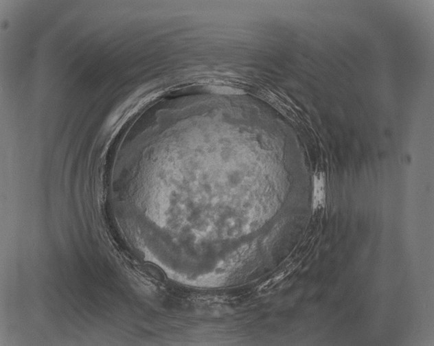 X0000084530291200703091635