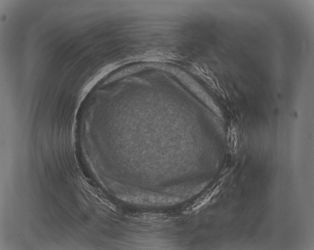 X0000084530292200703091635